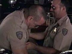 Get ready for an awesome bear on bear action featuring two hard assed gay cops officers Mickey Squires and Rob Jones showing off their beefy bodies, making out and playing with their big batons.