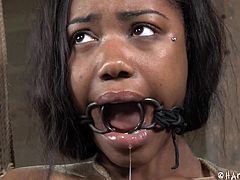 The bonded bitch in the basement is Chanell. The ropes are hurting her small tits with pierced nipples. The ebony bitch is soon tied up strongly from the ceiling. She really seems to be in extreme suffering as she has been mouth gagged without mercy. Click to watch the brunette slut enduring whipping!