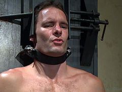 Gay hottie Cameron has been tied on that special chair with leather belts and plugged in. Yep, when we say plug in we really mean so check it out how the executor inserted a metal plug in his anus, all the way in. With electrodes on his body and that electric anal plug Cameron will cum soon!