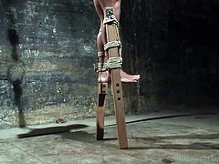 Brock is tied up in rope and tightly bound while he is hanged up on the ceiling. He dangles there, which gives his mean master all the control. The muscular slave gets whipped hard, and he lets out a moan every time he is whipped with the master tools.