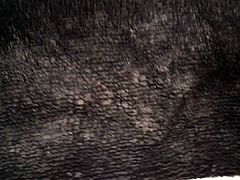 Load on a Crusty Cum-Stained Sock