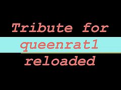 Tribute for queenrat1 reloaded