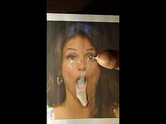 Tal tribute 2