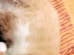 Ultra hot honey spends time dildoing her vagina for cam
