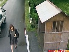 Public Sex Japan brings you a hell of a free porn video where you can see how this hairy Japanese brunette gets fucked on a truck while assuming very hot poses.