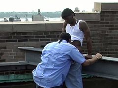 These two gay blacks are up on the roof and suck cock until they bend over for some ass filling in this free sex movie.
