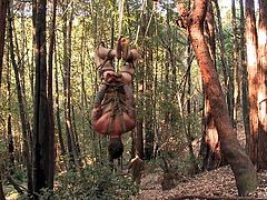 Wow, take a look at this unlucky slave. He is tied up tightly in rope and then, hung upside down from a tree in the woods, where his master sucks on his cock. The slave has no choice, but to hang there and take it.
