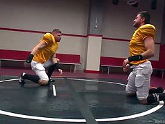 These gays are star football players and today, they are in the ring, and ready to wrestle. They strip out of their football uniforms into tiny, skimpy undergarments. They roll around in the ring and try to pin each other. Watch their cocks flop, as they fight.