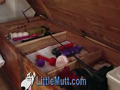 Little Mutt brings you a hell of a free porn video where you can see how these naughty lesbians start an amazing orgy together as they munch their sweet pink cunts.