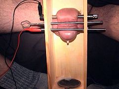 Cock in a box, electro-stim, orgasm