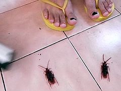 Crushed Roaches Fucking my Flip Flops Trampling Footjob