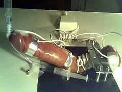 Milked in Bondage Electro Torture Board CBT-daddi