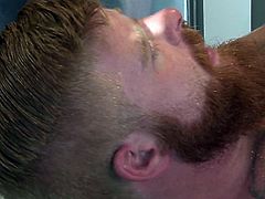 The biggest ginger beard in porn meets the hairiest ass I have ever seen in this sexy fuck scene with Bennett Anthony and Jimmy Fanz. Exclusive models have a romantic hardcore romp in this hot new scene from Gods Of Men.