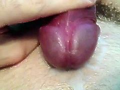 My milk