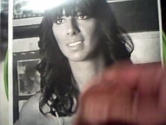 tribute for Danica39  7