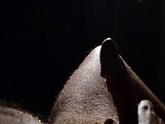 Slow motion 13