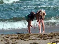 Two gorgeous roommates are having a fun day at the beach. These blonde and brunette are having a pleasant hang out together and later, they get into their room. Now, Brianna is the first one to start undressing Shae and licking her nipples of stunning tits, before taking a dive between her thighs.