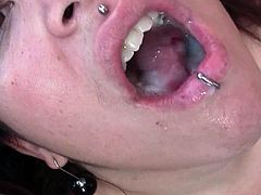 Bitches sucking and fucking for big loads of cum