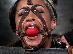 The punishment applied to slutty Skin Diamond, a black exiled princess, does not lack cruelty. But with the pain itself, there comes the lusty sinful pleasure... The brunette attractive bitch with small tits and beautiful legs has been bonded with rope and mouth gagged, so she couldn't cry out loud. See all!