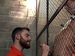 Are you up for some extreme bdsm gay activities? Click to watch a helpless prisoner tortured in his cell by a horny guardian, whose only wish is to get dirty and play naughty with a hard cock. See the hot stud wearing a kinky mouth gag, while being bonded strongly with inescapable ropes.