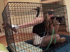 Chained sex slave Kiara Marie in her cage