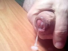 pajilla