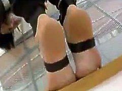 VIDEO 353