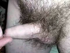 Julie tribute 1
