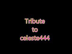 Tribute to celeste444