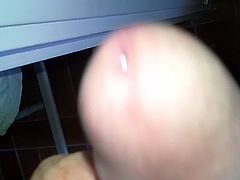 Schwanzspiele im Urlaub2