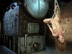 With a ball gag in her pretty mouth, this redheaded slut is hogtied and hung upside down from the ceiling, so her master can inflict pain and pleasure upon her sultry body. The vibrator makes her cunt wet.