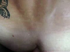Fad Gay
