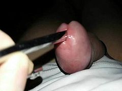 COCK,ME INSERTION URETHRAL MWA