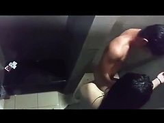 sex in public toilets