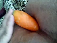 My ass and a carrot