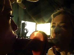 Chanel Preston, Mischa Brooks, and Sheena Shaw play rubber dildos in front of the mirror. They deepthroat a dildo and show off their juicy asses at the same time. Enjoy!