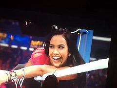 WWE Diva AJ Lee Tribute 01