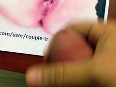 Tribute for Coupe-tr