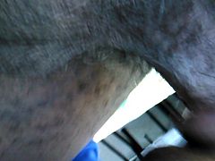 Dan Black Bottom. Sucking  Black Dick Passionately