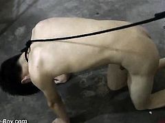 Asian Slave BDSM Series