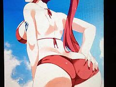 Erza Scarlett (Fairy Tail) Cum Tribute SoP