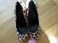 She Insulted My Wife's Ballet Flats