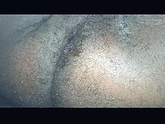 Asshole 2