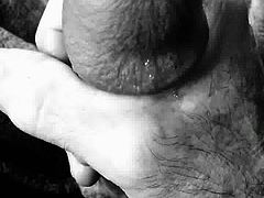 Black and white dripping cock