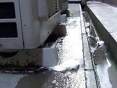 Japanese ho pees in alley