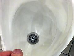 Uncut dick Public flash in toilet