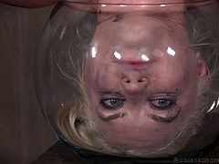 Dresden is into getting dominated, and her executor has something a little extreme in mind for her. She's hung upside-down, with her head in a fishbowl. He has a bucket of urine to pour in it, when ready. First, he buzzes her pussy with a vibrator.