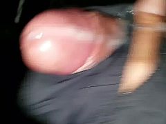 Paja panty