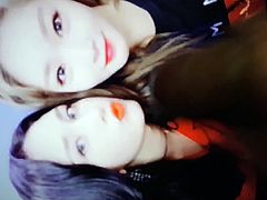 somi & chungha cum tribute ( ex. ioi )