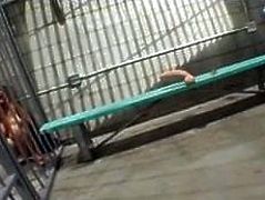 sexy milfs gets it on in jail